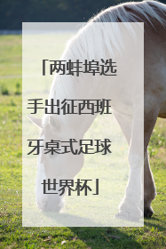 两蚌埠选手出征西班牙桌式足球世界杯