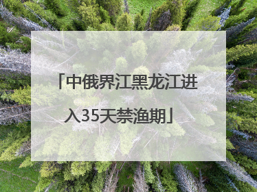 中俄界江黑龙江进入35天禁渔期