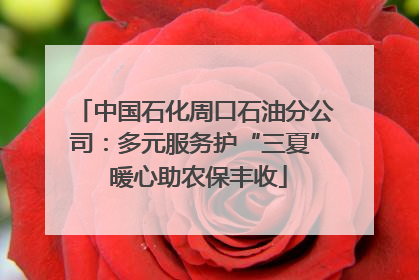 中国石化周口石油分公司：多元服务护“三夏” 暖心助农保丰收
