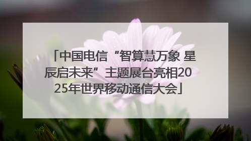 中国电信“智算慧万象 星辰启未来”主题展台亮相2025年世界移动通信大会