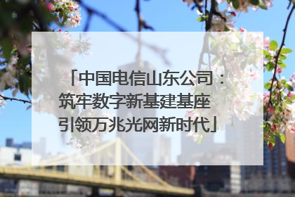 中国电信山东公司：筑牢数字新基建基座 引领万兆光网新时代
