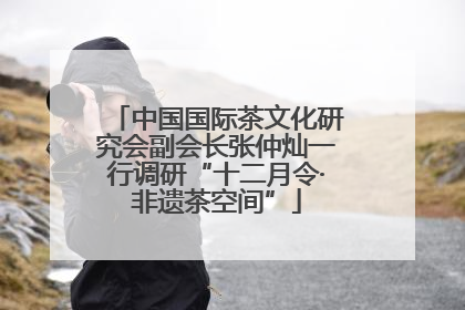 中国国际茶文化研究会副会长张仲灿一行调研“十二月令·非遗茶空间”