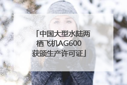 中国大型水陆两栖飞机AG600获颁生产许可证