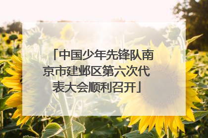中国少年先锋队南京市建邺区第六次代表大会顺利召开