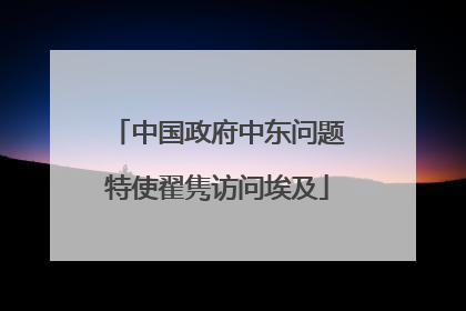 中国政府中东问题特使翟隽访问埃及