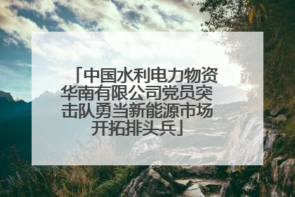 中国水利电力物资华南有限公司党员突击队勇当新能源市场开拓排头兵