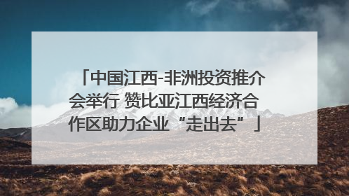 中国江西-非洲投资推介会举行 赞比亚江西经济合作区助力企业“走出去”