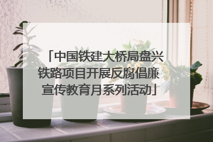 中国铁建大桥局盘兴铁路项目开展反腐倡廉宣传教育月系列活动