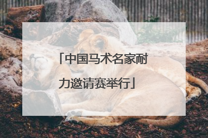 中国马术名家耐力邀请赛举行