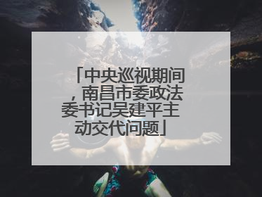 中央巡视期间，南昌市委政法委书记吴建平主动交代问题