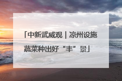 中新武威观｜凉州设施蔬菜种出好“丰”景