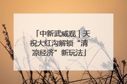中新武威观｜天祝大红沟解锁“清凉经济”新玩法