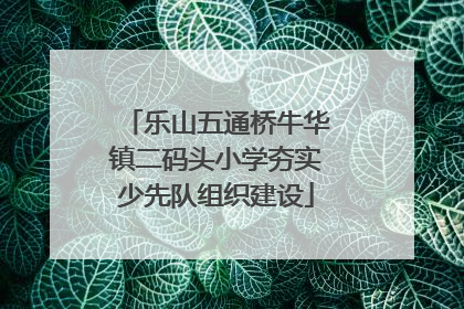 乐山五通桥牛华镇二码头小学夯实少先队组织建设