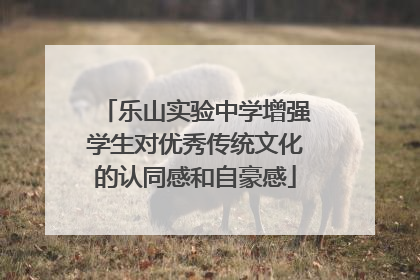 乐山实验中学增强学生对优秀传统文化的认同感和自豪感