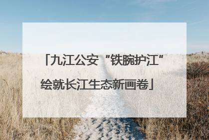 九江公安“铁腕护江”绘就长江生态新画卷
