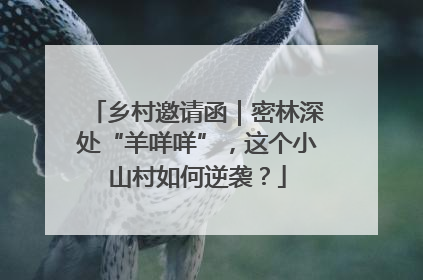 乡村邀请函｜密林深处“羊咩咩”，这个小山村如何逆袭？