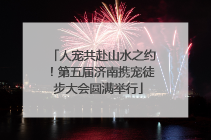 人宠共赴山水之约！第五届济南携宠徒步大会圆满举行