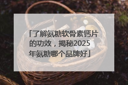 了解氨糖软骨素钙片的功效，揭秘2025年氨糖哪个品牌好