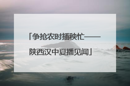 争抢农时插秧忙——陕西汉中夏播见闻