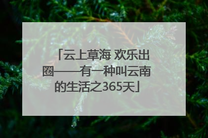 云上草海 欢乐出圈——有一种叫云南的生活之365天