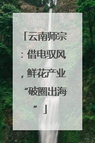 云南师宗：借电驭风，鲜花产业“破圈出海”