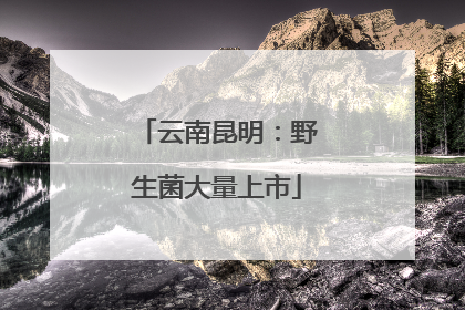 云南昆明：野生菌大量上市
