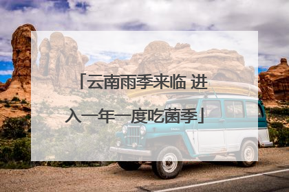 云南雨季来临 进入一年一度吃菌季