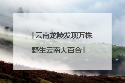 云南龙陵发现万株野生云南大百合