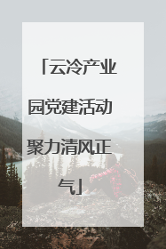 云冷产业园党建活动聚力清风正气