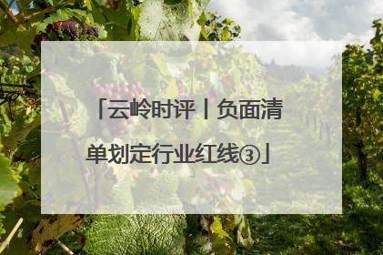 云岭时评丨负面清单划定行业红线③