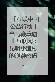 互联中国公益行动丨当马鞭草遇上互联网：昆明小渔村的逆袭密码