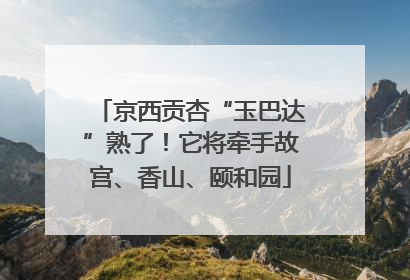 京西贡杏“玉巴达”熟了！它将牵手故宫、香山、颐和园