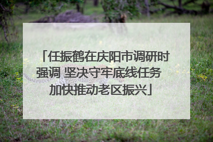 任振鹤在庆阳市调研时强调 坚决守牢底线任务 加快推动老区振兴