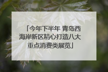今年下半年 青岛西海岸新区精心打造八大重点消费类展览