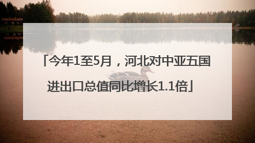 今年1至5月，河北对中亚五国进出口总值同比增长1.1倍