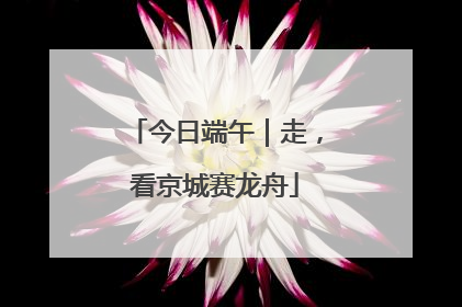 今日端午｜走，看京城赛龙舟