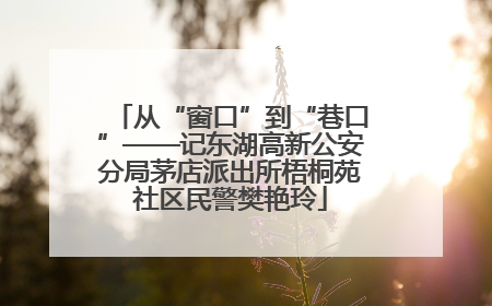 从“窗口”到“巷口”——记东湖高新公安分局茅店派出所梧桐苑社区民警樊艳玲