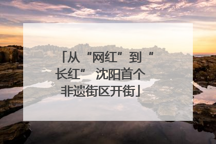 从“网红”到“长红” 沈阳首个非遗街区开街