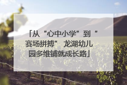 从“心中小学”到“赛场拼搏” 龙湖幼儿园多维铺就成长路