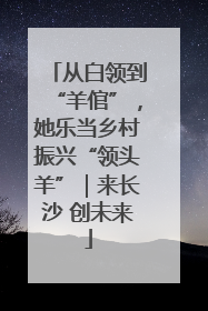 从白领到“羊倌”，她乐当乡村振兴“领头羊”｜来长沙 创未来