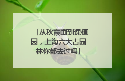 从秋霞圃到课植园，上海六大古园林你都去过吗