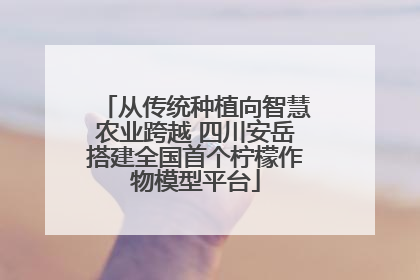 从传统种植向智慧农业跨越 四川安岳搭建全国首个柠檬作物模型平台