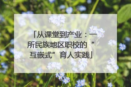 从课堂到产业：一所民族地区职校的“互嵌式”育人实践
