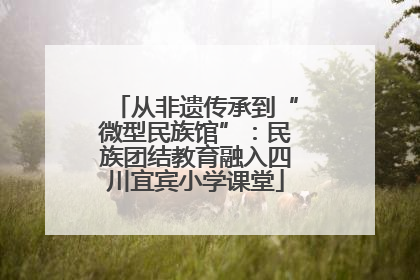 从非遗传承到“微型民族馆”：民族团结教育融入四川宜宾小学课堂