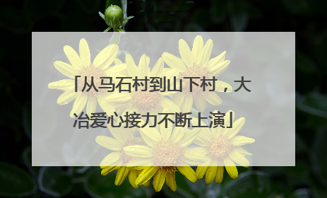 从马石村到山下村，大冶爱心接力不断上演