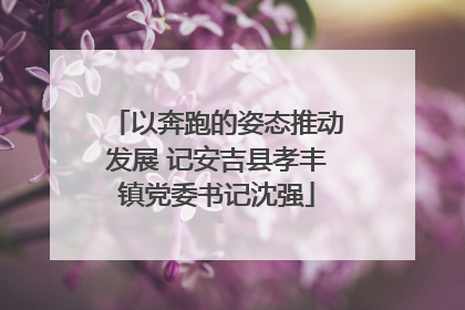 以奔跑的姿态推动发展 记安吉县孝丰镇党委书记沈强