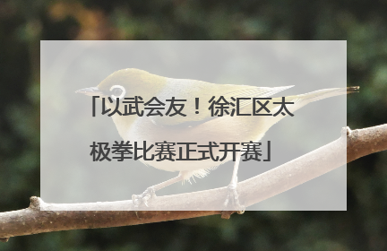 以武会友！徐汇区太极拳比赛正式开赛
