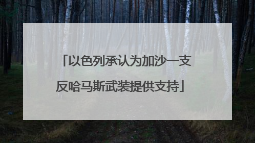 以色列承认为加沙一支反哈马斯武装提供支持