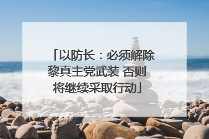 以防长：必须解除黎真主党武装 否则将继续采取行动