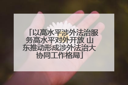以高水平涉外法治服务高水平对外开放 山东推动形成涉外法治大协同工作格局